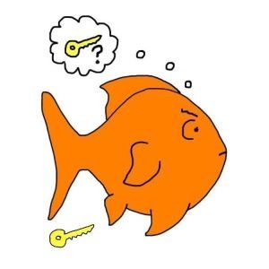 goldfish-memory2-300x300.jpg