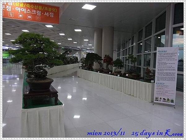 DSCF9303.jpg
