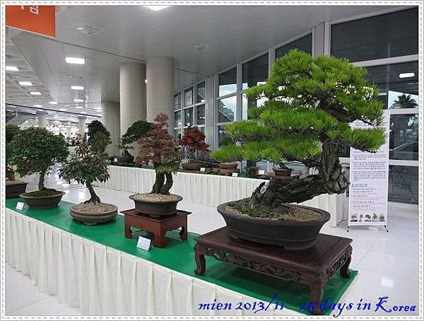 DSCF9304.jpg