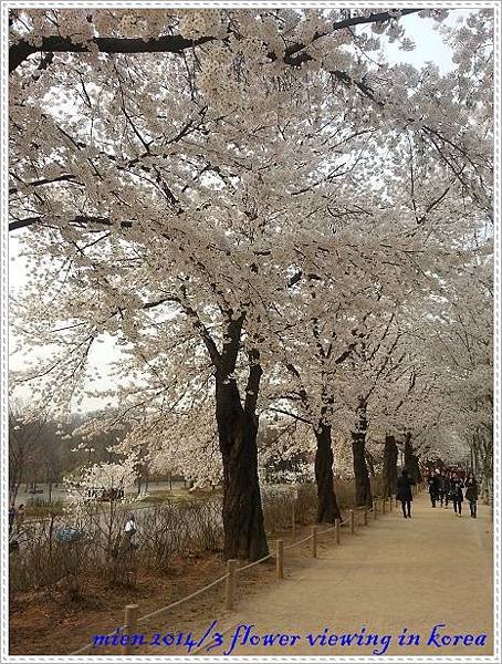 20140410_165944.jpg