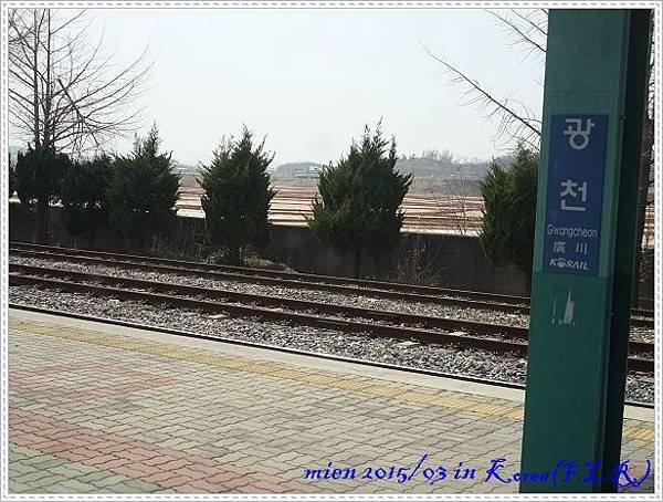 DSCF6003.jpg