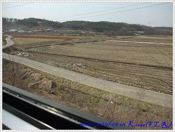 DSCF6015.jpg
