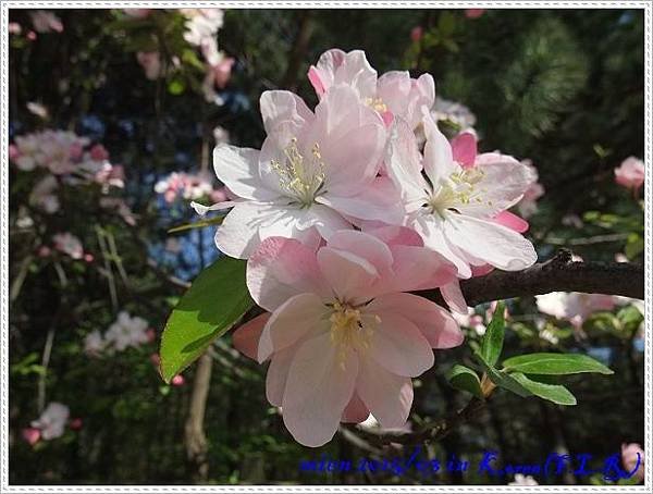 DSCF5979.jpg