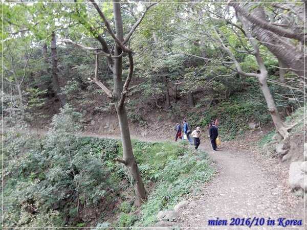 DSCN9394.JPG