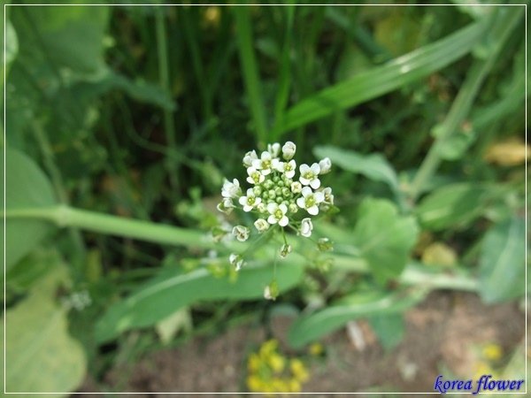 DSCF0902.JPG