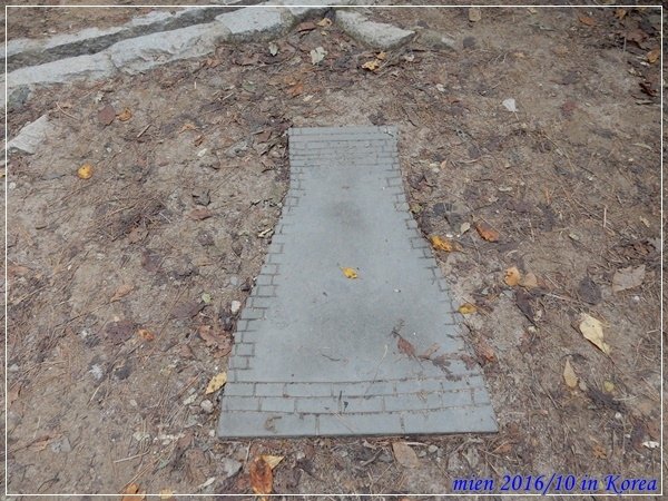 DSCN3711.JPG