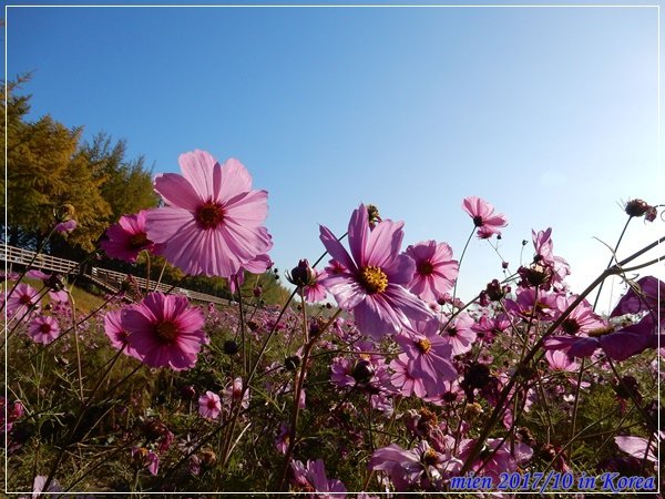 DSCN6395.JPG