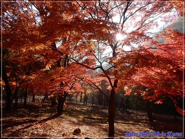 DSCN0279.JPG
