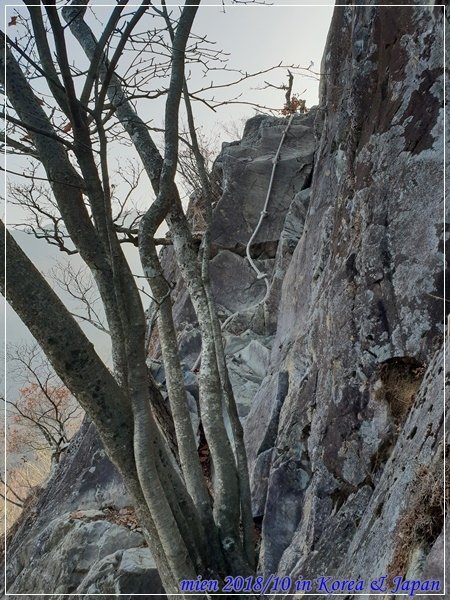 20181117_144722.jpg