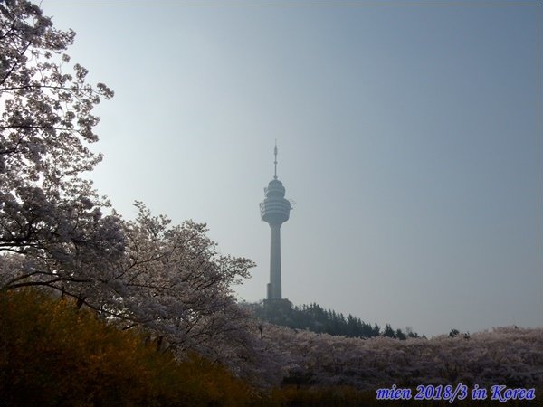 DSCN3490.JPG