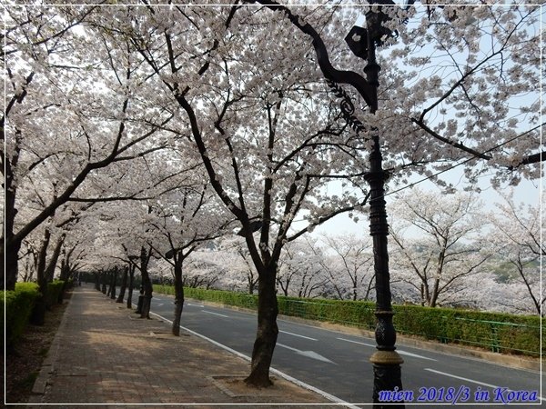 DSCN3512.JPG