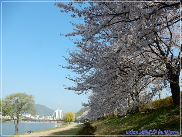 DSCN3810.JPG