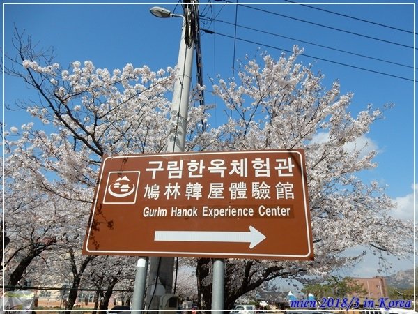 DSCN4076.JPG