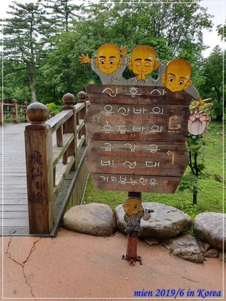 20190629_102252.jpg