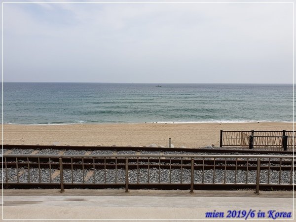 20190630_101636.jpg
