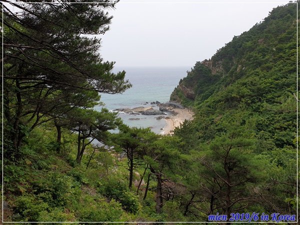 20190630_111331.jpg