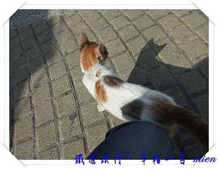 DSCF2258.jpg