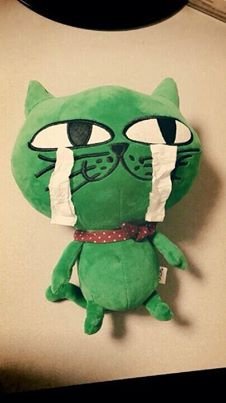 OKCAT.jpg