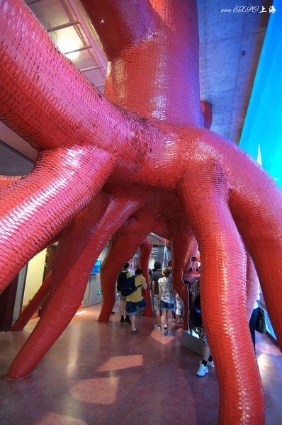 DSC_9684.jpg