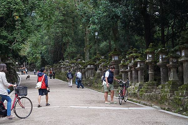 奈良景點10.JPG