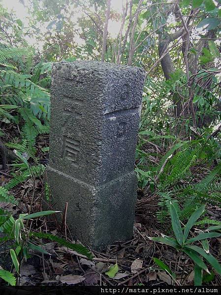 中和尖山(草鞋山)東北峰 20M