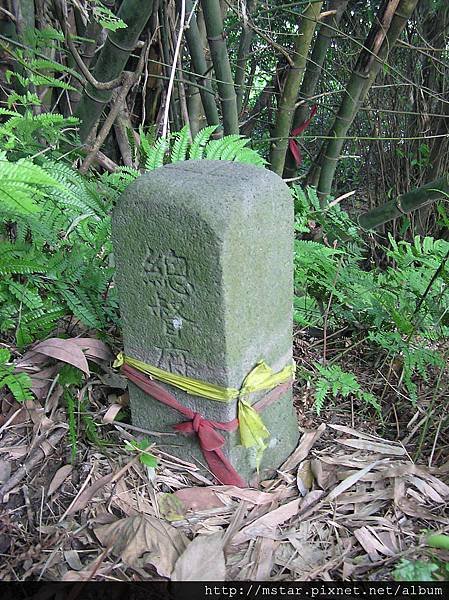 中和尖山(草鞋山)東南峰 45M