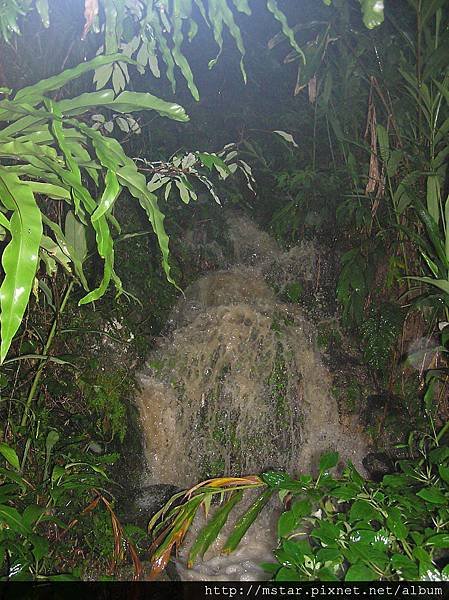 數十分鐘的雷雨就造成滾滾黃水沖下