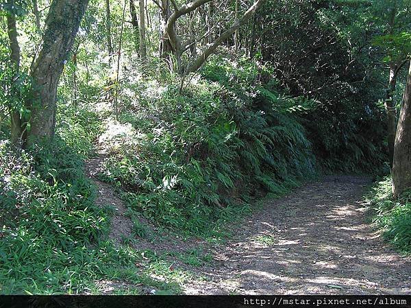 寬敞土路轉稜線山路