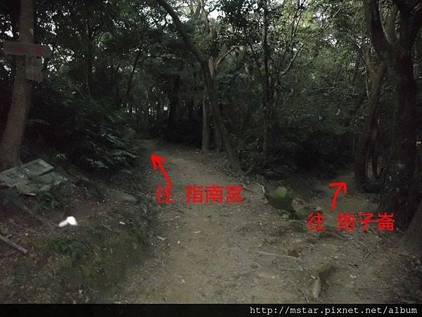 去年也曾走過的叉路