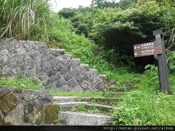 桂花步道南側入口