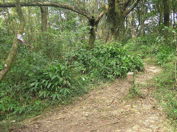 陽明山農場界碑