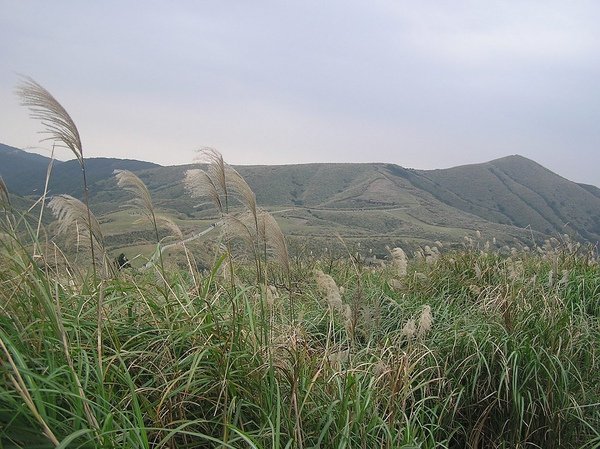 剛剛走過的竹篙山