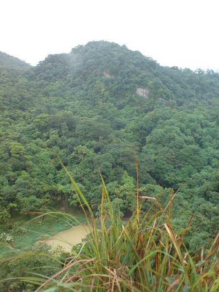 往下看翠湖
