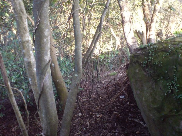 岔路，前方左側有路陡下往中埔山
