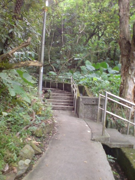 公車總站對面的公園有路