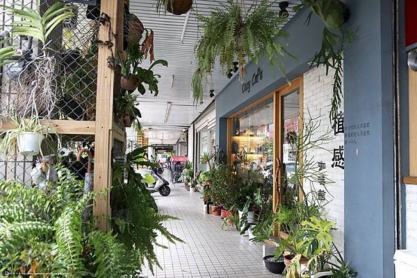 植感_03.JPG