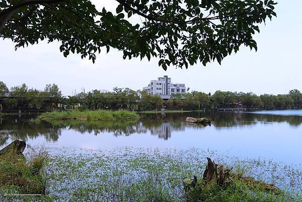羅東林場_15.JPG