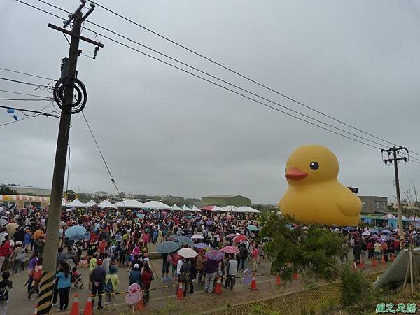 黃色小鴨20131103_4.JPG
