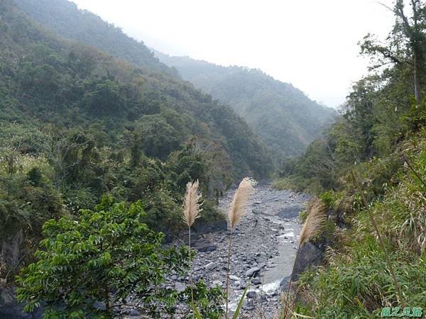 野馬敢山20140111(23)