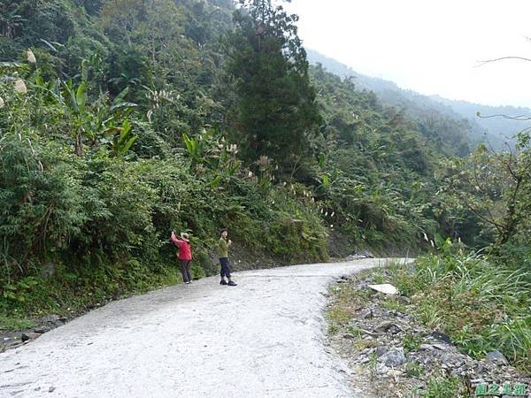 野馬敢山20140111(29)