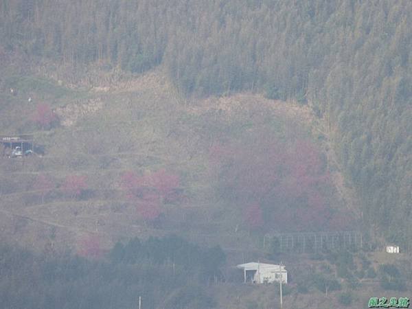 野馬敢山20140111(41)