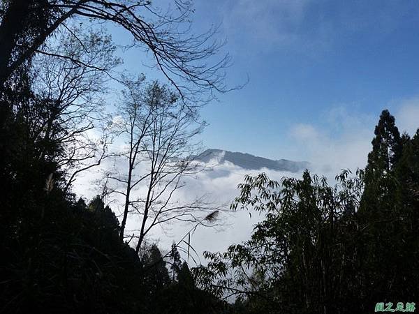 野馬敢山20140111(52)