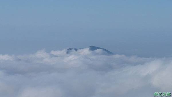 野馬敢山20140111(55)