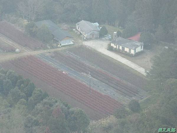 野馬敢山20140111(143)