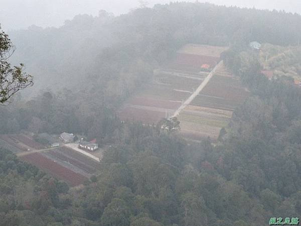 野馬敢山20140111(145)
