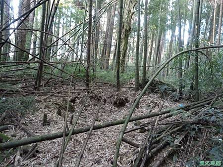 光崙山20140124(74)