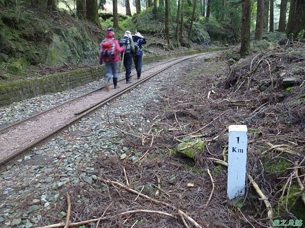 水山巨木20140125(56)