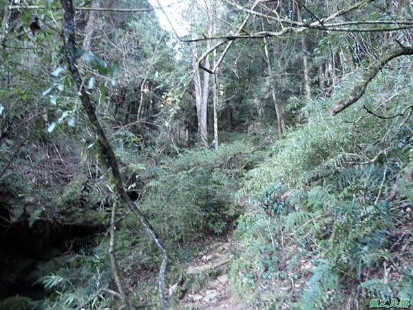 小笠原山20140125(31)
