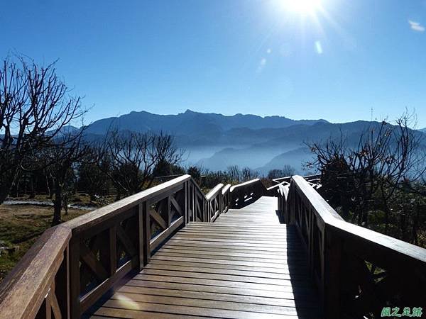 小笠原山20140125(55)