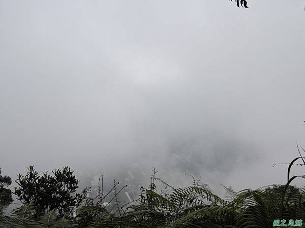 過坑山20140809(12)